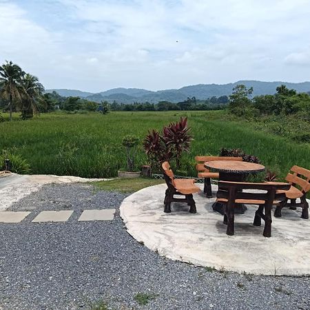Damai D Homestay Kangar Zewnętrze zdjęcie